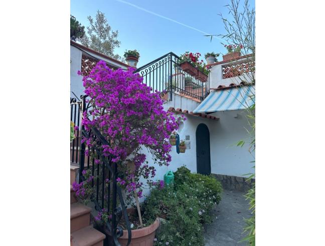 Anteprima foto 8 - Affitto Casa Vacanze da Privato a Massa Lubrense (Napoli)