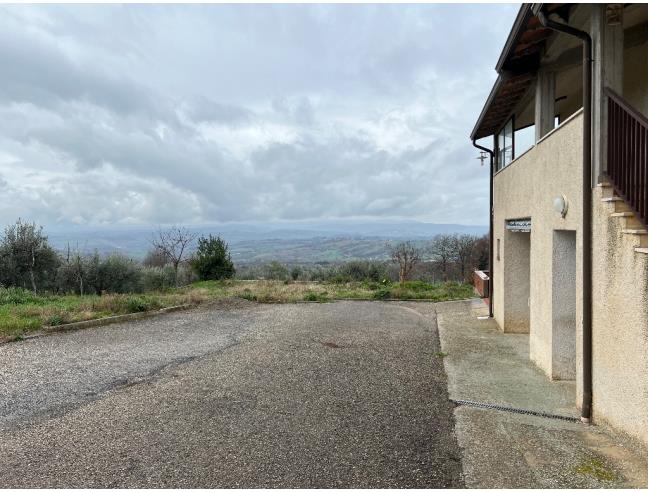 Anteprima foto 8 - Affitto Casa Vacanze da Privato a Massa Martana - Vocabolo Piemonte