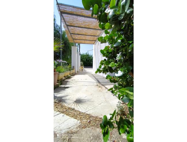 Anteprima foto 6 - Affitto Casa Vacanze da Privato a Matino (Lecce)