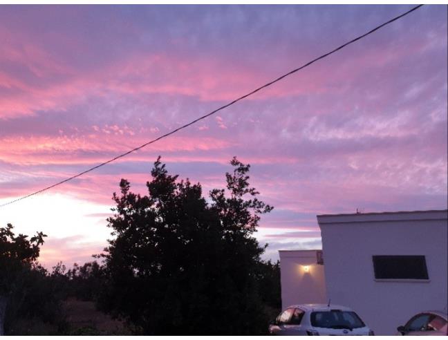 Anteprima foto 8 - Affitto Casa Vacanze da Privato a Matino (Lecce)