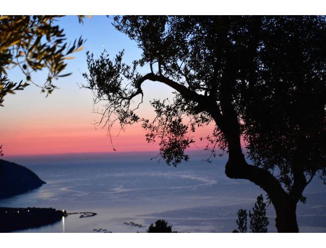 Anteprima foto 7 - Affitto Casa Vacanze da Privato a Mattinata (Foggia)