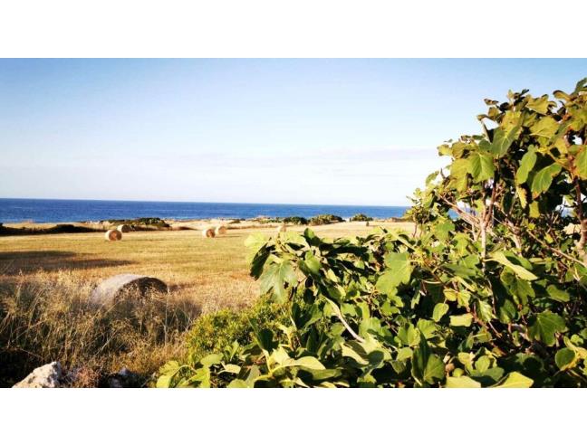 Anteprima foto 3 - Affitto Casa Vacanze da Privato a Mola di Bari - Cozze