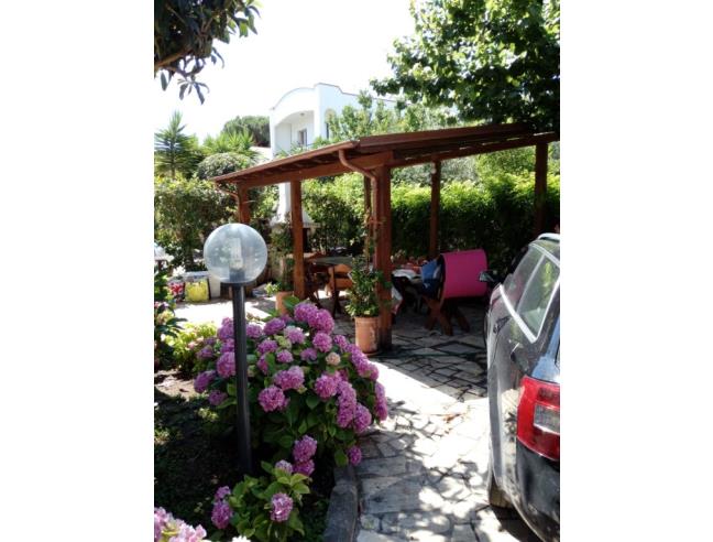 Anteprima foto 2 - Affitto Casa Vacanze da Privato a Montalto di Castro - Montalto Marina