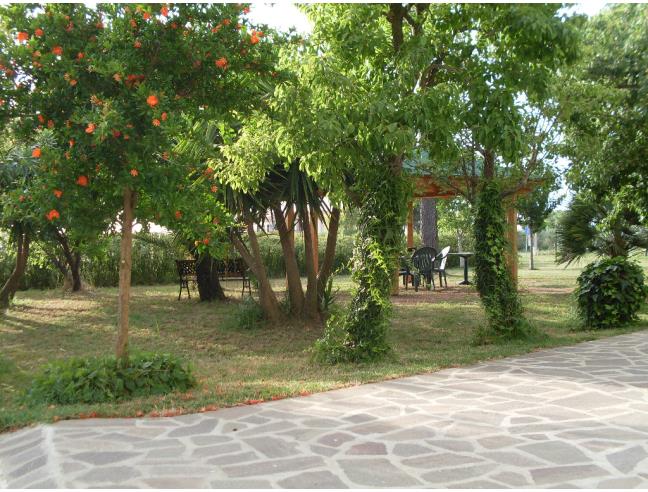 Anteprima foto 7 - Affitto Casa Vacanze da Privato a Montalto di Castro - Pescia Romana