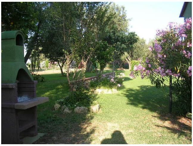 Anteprima foto 8 - Affitto Casa Vacanze da Privato a Montalto di Castro - Pescia Romana
