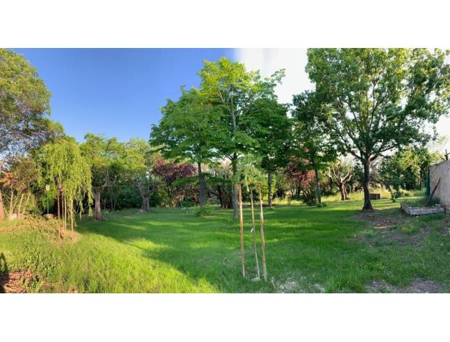 Anteprima foto 6 - Affitto Casa Vacanze da Privato a Montemarciano (Ancona)