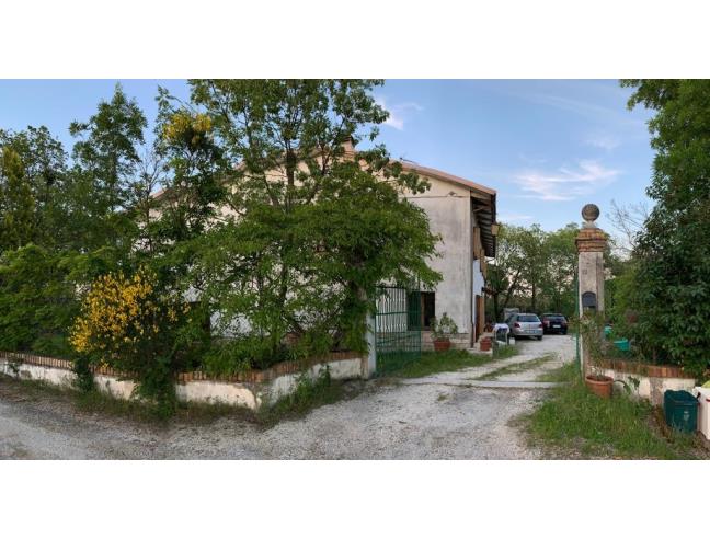 Anteprima foto 7 - Affitto Casa Vacanze da Privato a Montemarciano (Ancona)