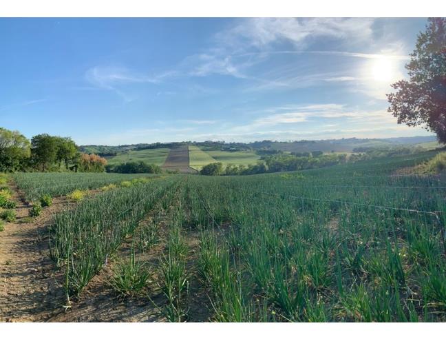 Anteprima foto 8 - Affitto Casa Vacanze da Privato a Montemarciano (Ancona)