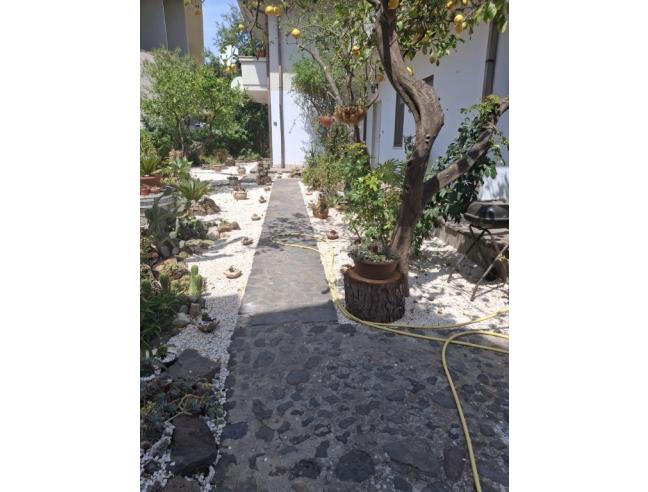 Anteprima foto 2 - Affitto Casa Vacanze da Privato a Narbolia (Oristano)