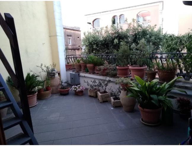 Anteprima foto 2 - Affitto Casa Vacanze da Privato a Nardò (Lecce)