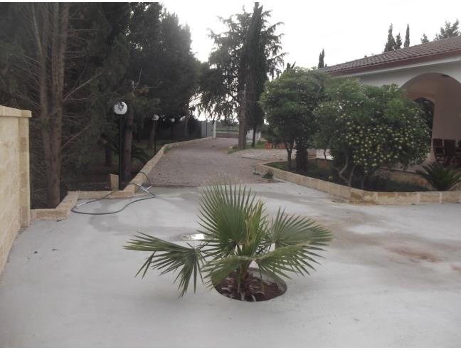 Anteprima foto 6 - Affitto Casa Vacanze da Privato a Nardò (Lecce)