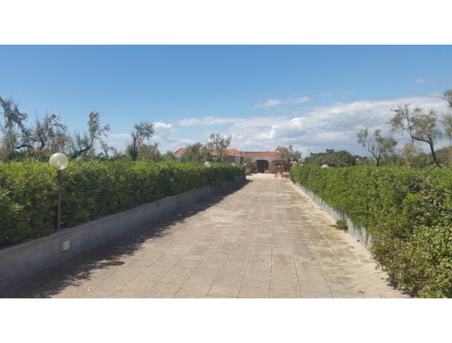 Anteprima foto 2 - Affitto Casa Vacanze da Privato a Nardò - Torre Inserraglio