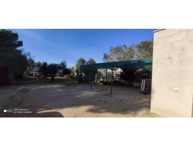 Anteprima foto 3 - Affitto Casa Vacanze da Privato a Nardò - Torre Squillace