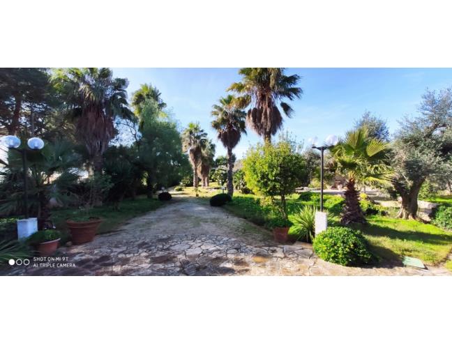 Anteprima foto 4 - Affitto Casa Vacanze da Privato a Nardò - Torre Squillace