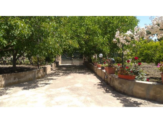 Anteprima foto 7 - Affitto Casa Vacanze da Privato a Naro (Agrigento)