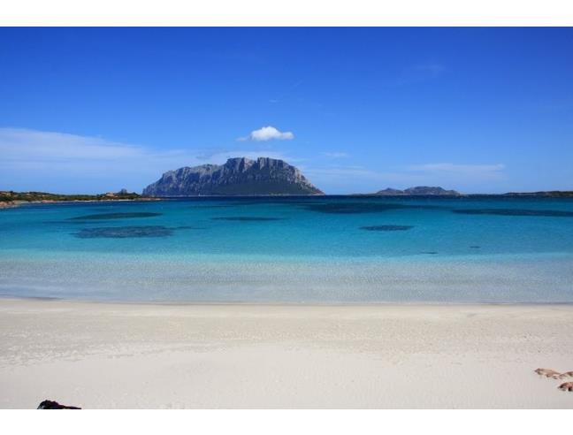 Anteprima foto 8 - Affitto Casa Vacanze da Privato a Olbia - Olbia 2