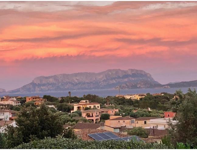 Anteprima foto 1 - Affitto Casa Vacanze da Privato a Olbia (Olbia-Tempio)