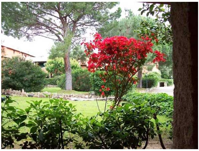 Anteprima foto 5 - Affitto Casa Vacanze da Privato a Olbia - Porto Rotondo