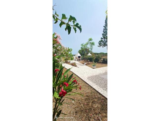 Anteprima foto 2 - Affitto Casa Vacanze da Privato a Orosei - Cala Liberotto