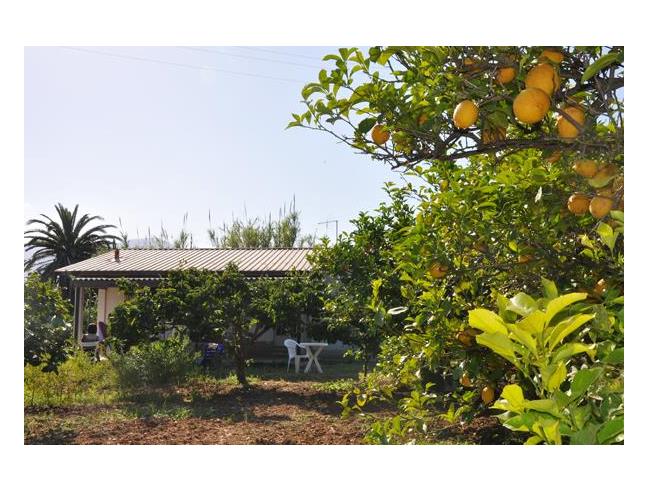 Anteprima foto 1 - Affitto Casa Vacanze da Privato a Orosei (Nuoro)