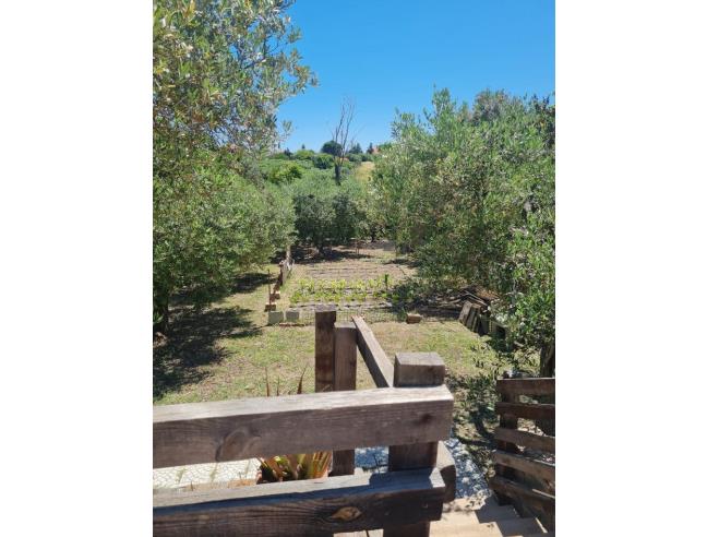 Anteprima foto 7 - Affitto Casa Vacanze da Privato a Ortona (Chieti)