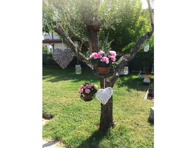 Anteprima foto 4 - Affitto Casa Vacanze da Privato a Ortona - Fossato