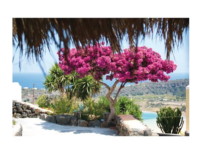 Anteprima foto 4 - Affitto Casa Vacanze da Privato a Pantelleria - Santa Chiara Di Bugeber