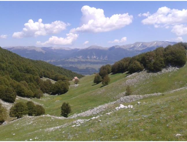 Anteprima foto 6 - Affitto Casa Vacanze da Privato a Pescasseroli (L'Aquila)
