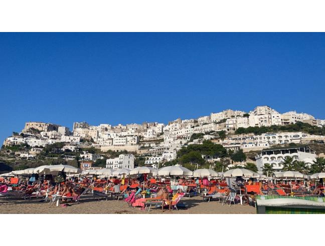 Anteprima foto 8 - Affitto Casa Vacanze da Privato a Peschici (Foggia)