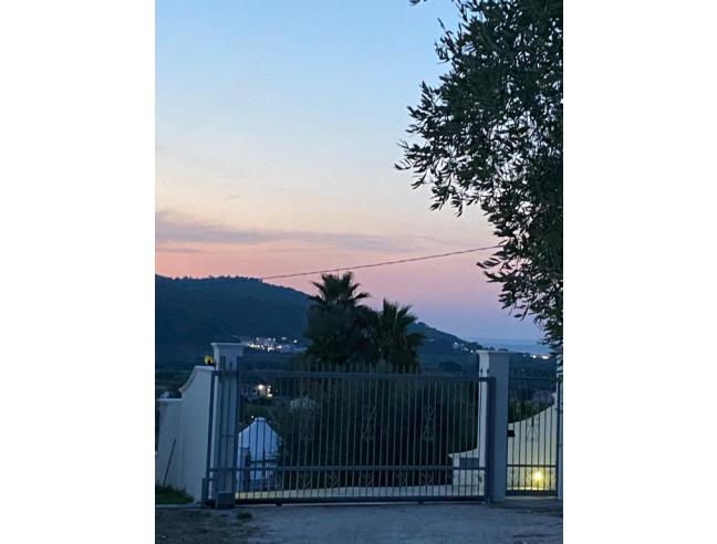 Anteprima foto 8 - Affitto Casa Vacanze da Privato a Peschici (Foggia)