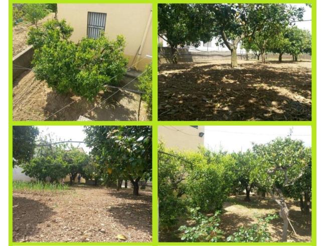 Anteprima foto 5 - Affitto Casa Vacanze da Privato a Pisticci - Marconia