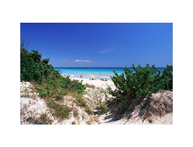 Anteprima foto 1 - Affitto Casa Vacanze da Privato a Porto Cesareo (Lecce)