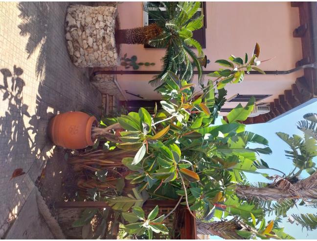 Anteprima foto 5 - Affitto Casa Vacanze da Privato a Porto Empedocle (Agrigento)