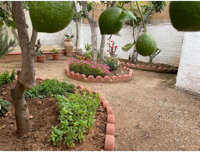 Anteprima foto 6 - Affitto Casa Vacanze da Privato a Portopalo di Capo Passero (Siracusa)