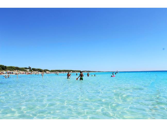 Anteprima foto 3 - Affitto Casa Vacanze da Privato a Racale - Tabarano