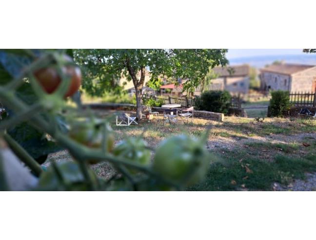Anteprima foto 8 - Affitto Casa Vacanze da Privato a Radicofani (Siena)