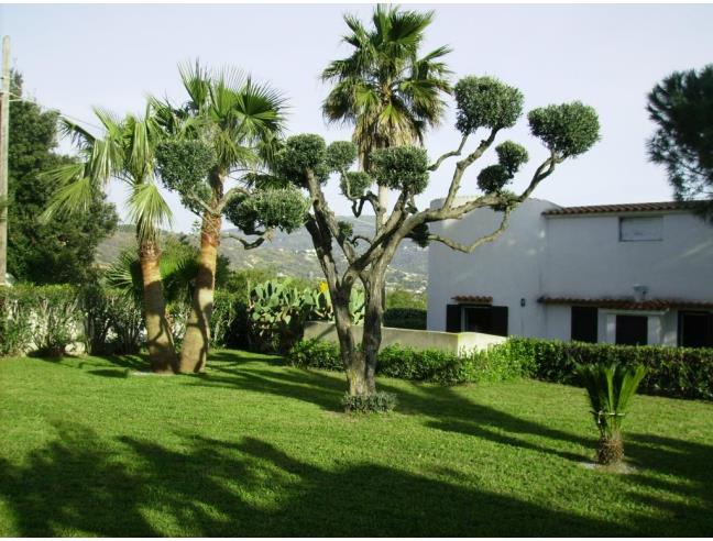 Anteprima foto 5 - Affitto Casa Vacanze da Privato a Ricadi - Capo Vaticano