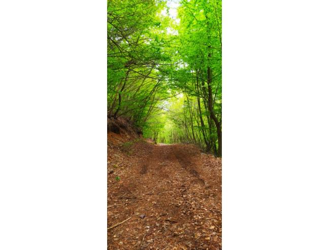 Anteprima foto 7 - Affitto Casa Vacanze da Privato a Roccavignale - Camponuovo