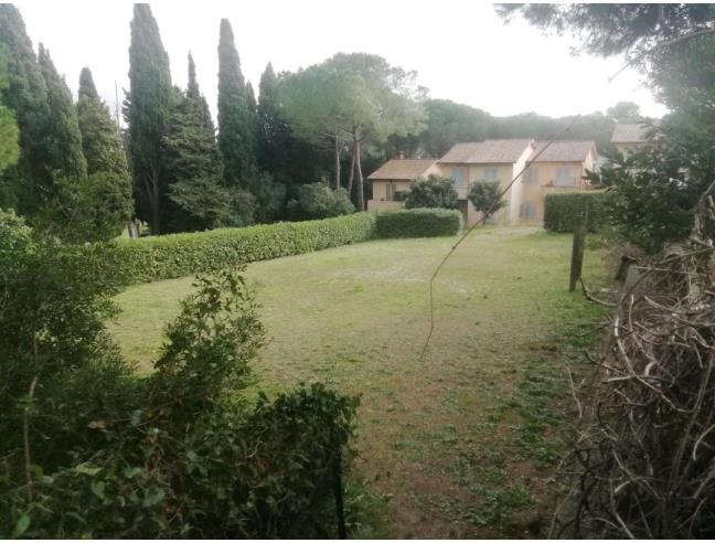 Anteprima foto 3 - Affitto Casa Vacanze da Privato a Rosignano Marittimo - Castiglioncello