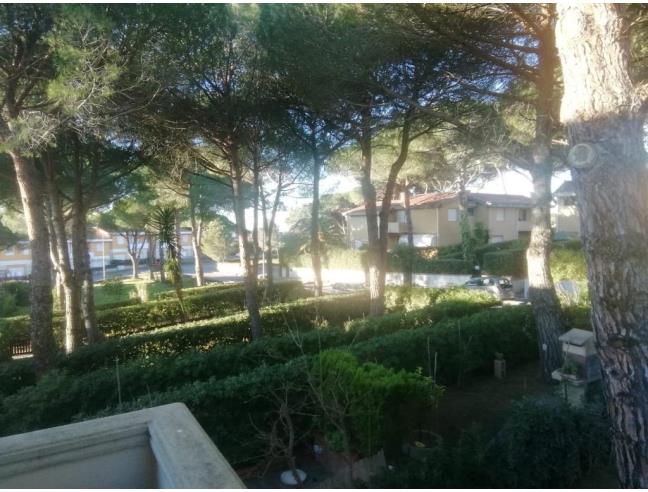 Anteprima foto 6 - Affitto Casa Vacanze da Privato a Rosignano Marittimo - Castiglioncello