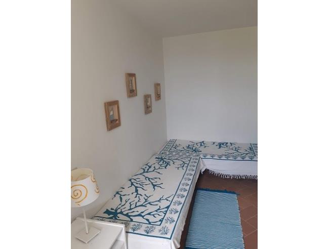 Anteprima foto 5 - Affitto Casa Vacanze da Privato a Sabaudia (Latina)