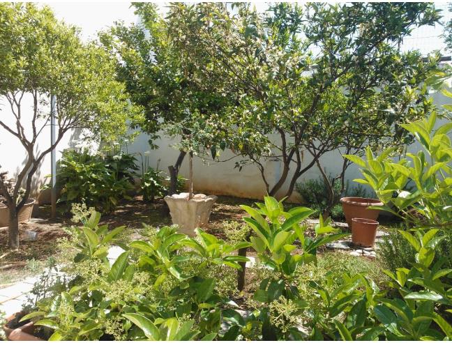 Anteprima foto 6 - Affitto Casa Vacanze da Privato a Salve (Lecce)