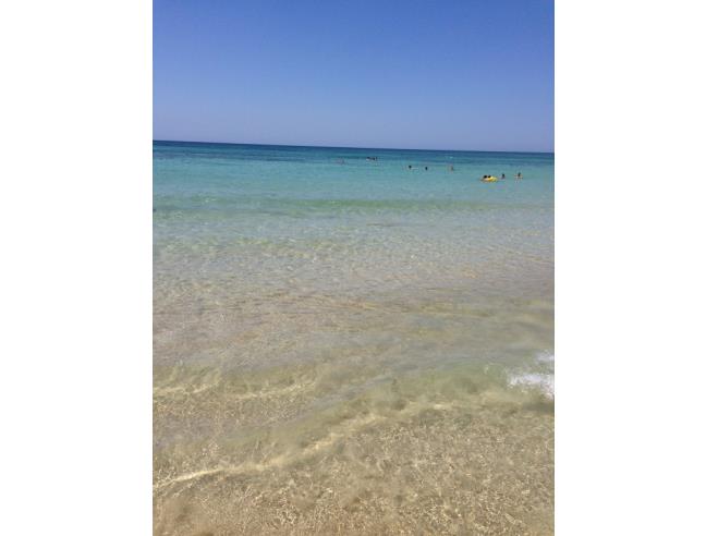 Anteprima foto 7 - Affitto Casa Vacanze da Privato a Salve (Lecce)