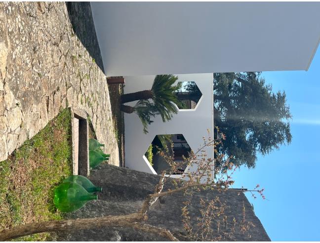 Anteprima foto 7 - Affitto Casa Vacanze da Privato a Salve (Lecce)