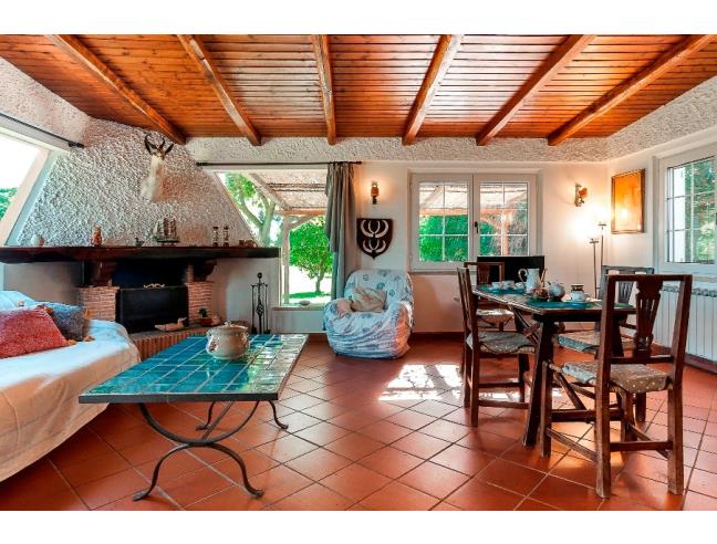 Anteprima foto 5 - Affitto Casa Vacanze da Privato a San Felice Circeo (Latina)