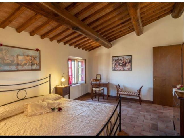 Anteprima foto 6 - Affitto Casa Vacanze da Privato a San Gimignano (Siena)