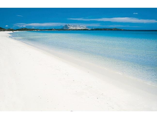 Anteprima foto 1 - Affitto Casa Vacanze da Privato a San Teodoro (Olbia-Tempio)