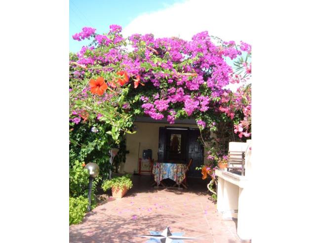 Anteprima foto 6 - Affitto Casa Vacanze da Privato a San Teodoro (Sassari)