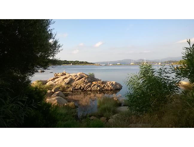 Anteprima foto 8 - Affitto Casa Vacanze da Privato a San Teodoro - Villaggio Porta Coda Cavallo