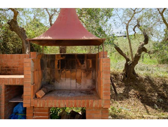 Anteprima foto 3 - Affitto Casa Vacanze da Privato a San Vincenzo (Livorno)